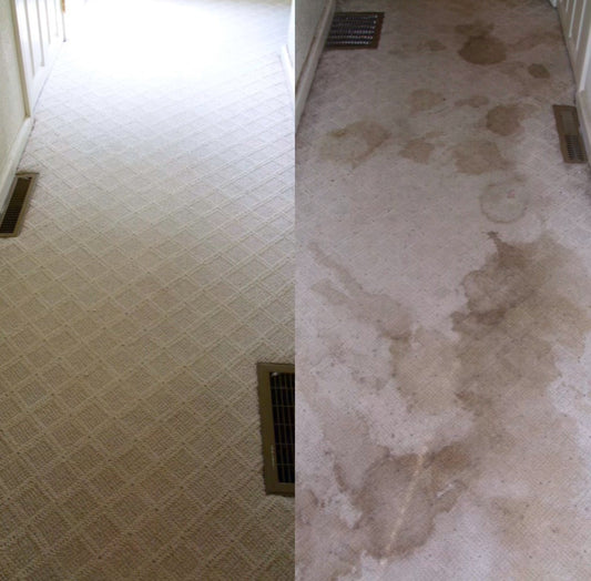 Professional Carpet Cleaning Estimate